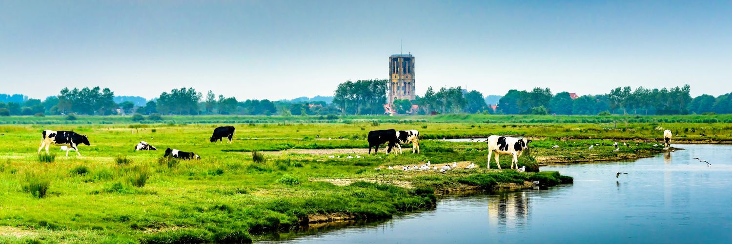 CDAGoereeOverflakkee banner