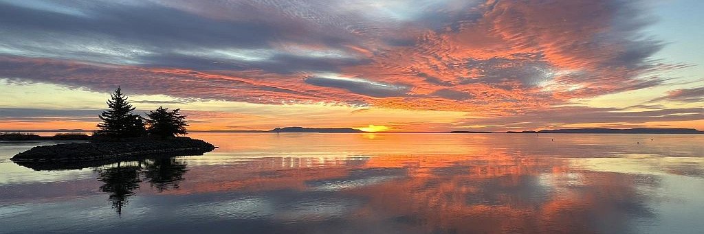 🏞 𝘎𝘢𝘳𝘺 𝘈𝘭𝘭𝘦𝘯 🌄 banner