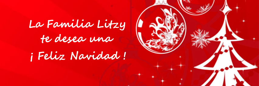 LitzyCatalogo's profile banner image