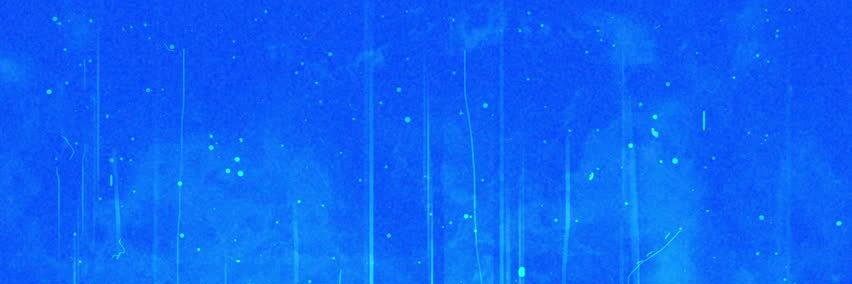 OffJazzRoseFan's profile banner image