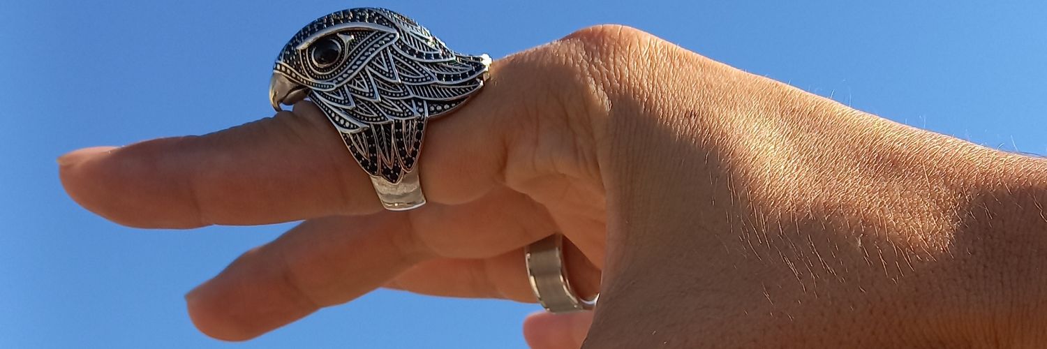 JoshPepetrucci's profile banner image