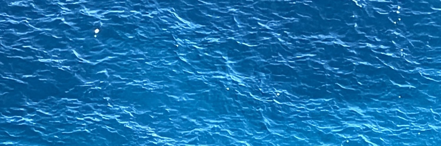 PaoloRebecchi's profile banner image
