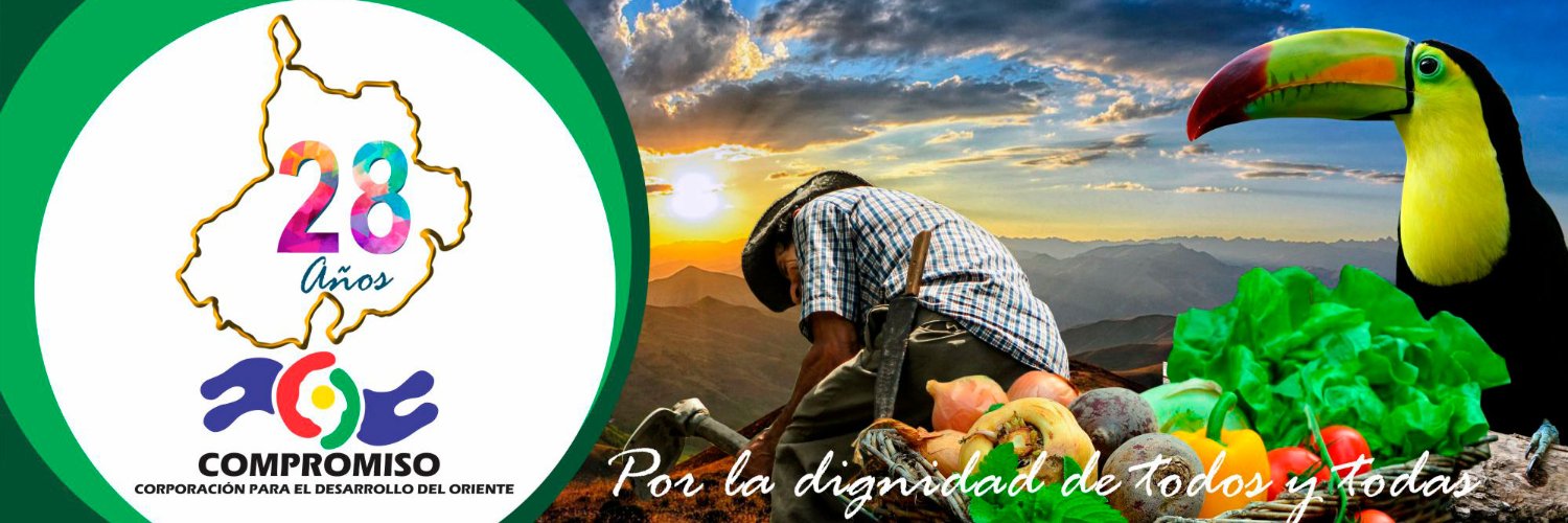 C Compromiso ONG banner