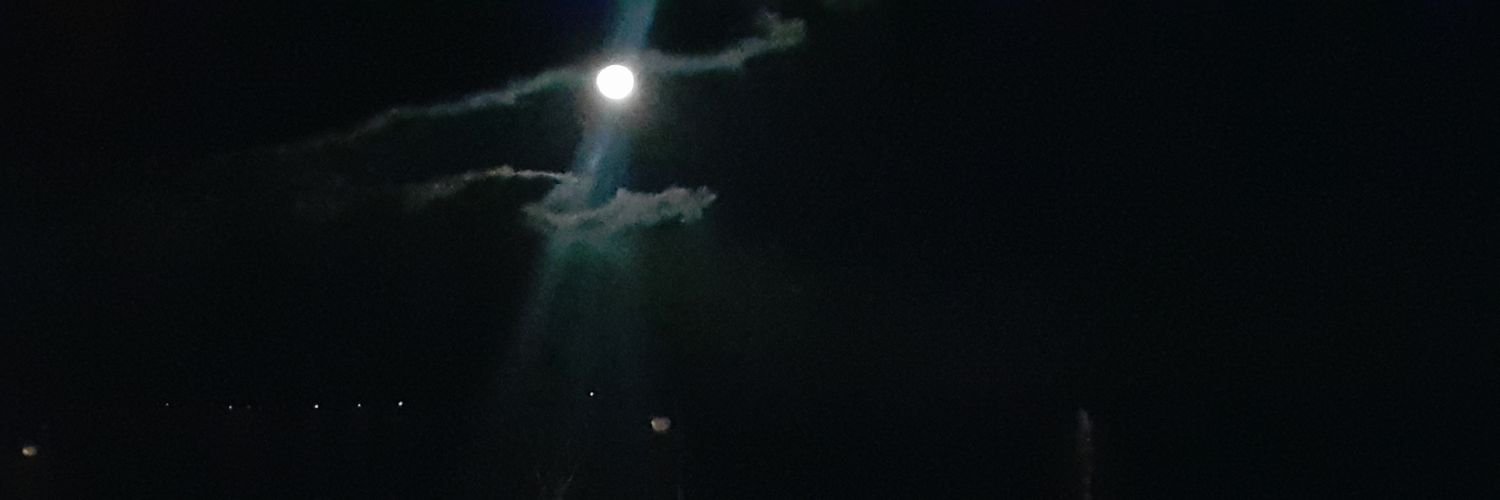 zeynpyildz's profile banner image