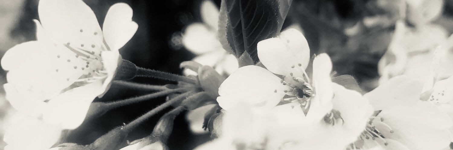 GemsOfMayfair's profile banner image