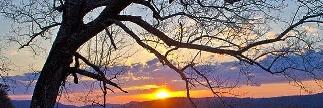 Steve Gilkey 🇺🇸🏴󠁧󠁢󠁳󠁣󠁴󠁿🏁 banner