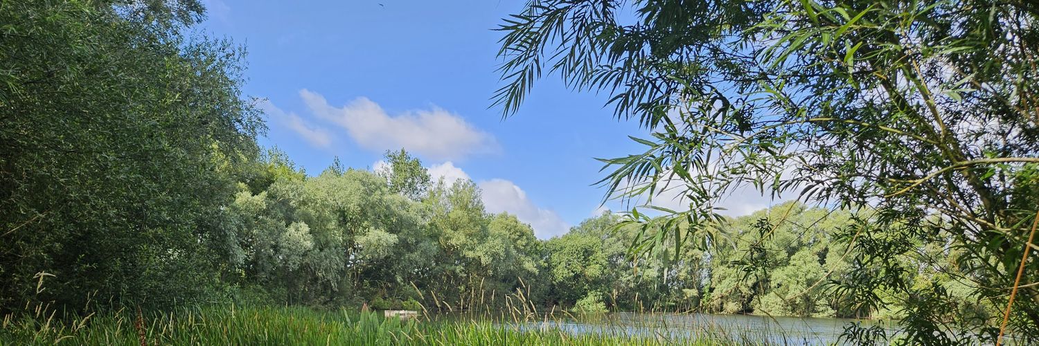 Hud50n's profile banner image