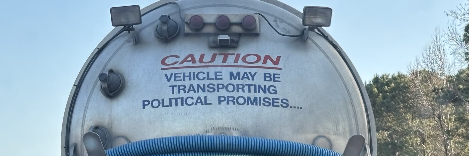 Frannie The Fringe Lady banner