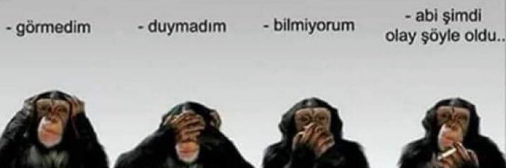 cemalanyali's profile banner image