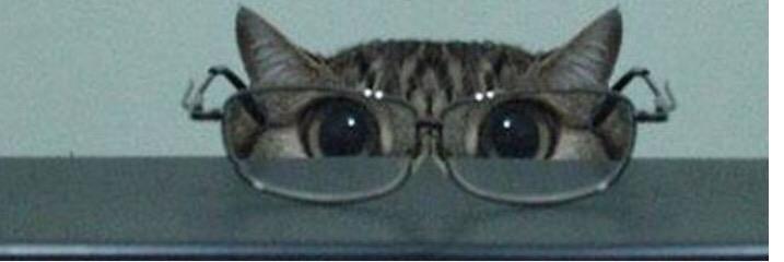 saliapescar's profile banner image