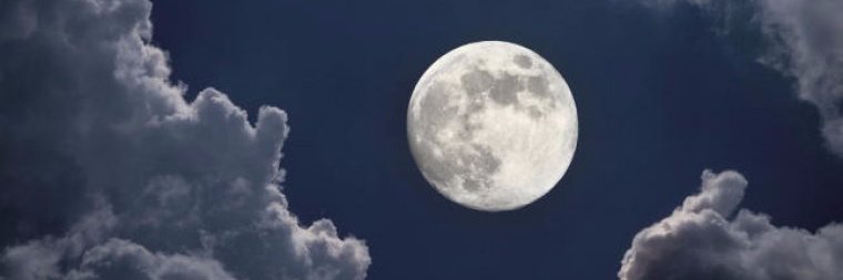 Carme Llover Rodà  ☮ banner