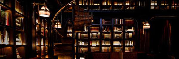 vampirelibrary2's profile banner image