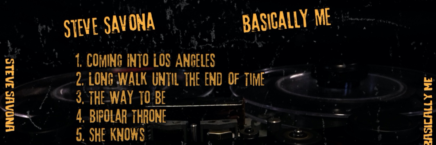 Steve Savona banner