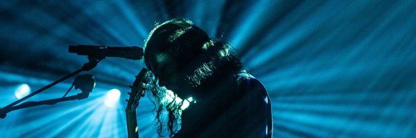 Artemis_turtle Profile Banner