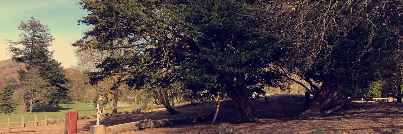 Aimee 🌹 banner
