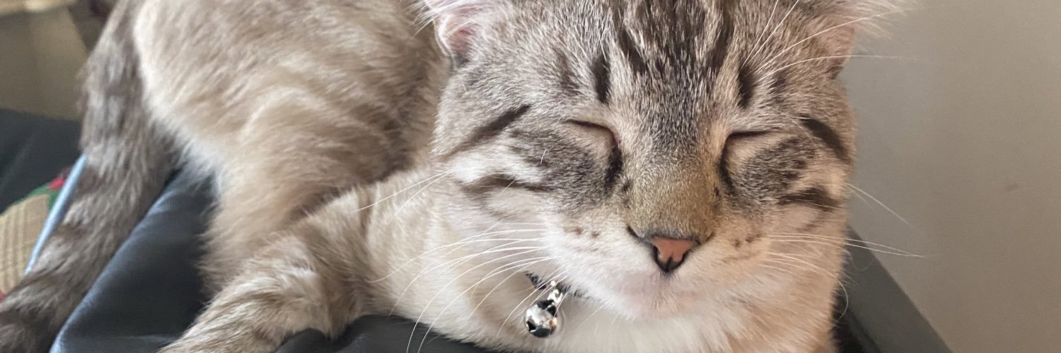 _harleysue's profile banner image