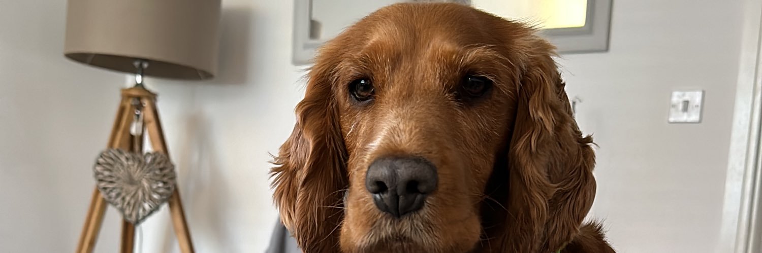 BindingThomas's profile banner image