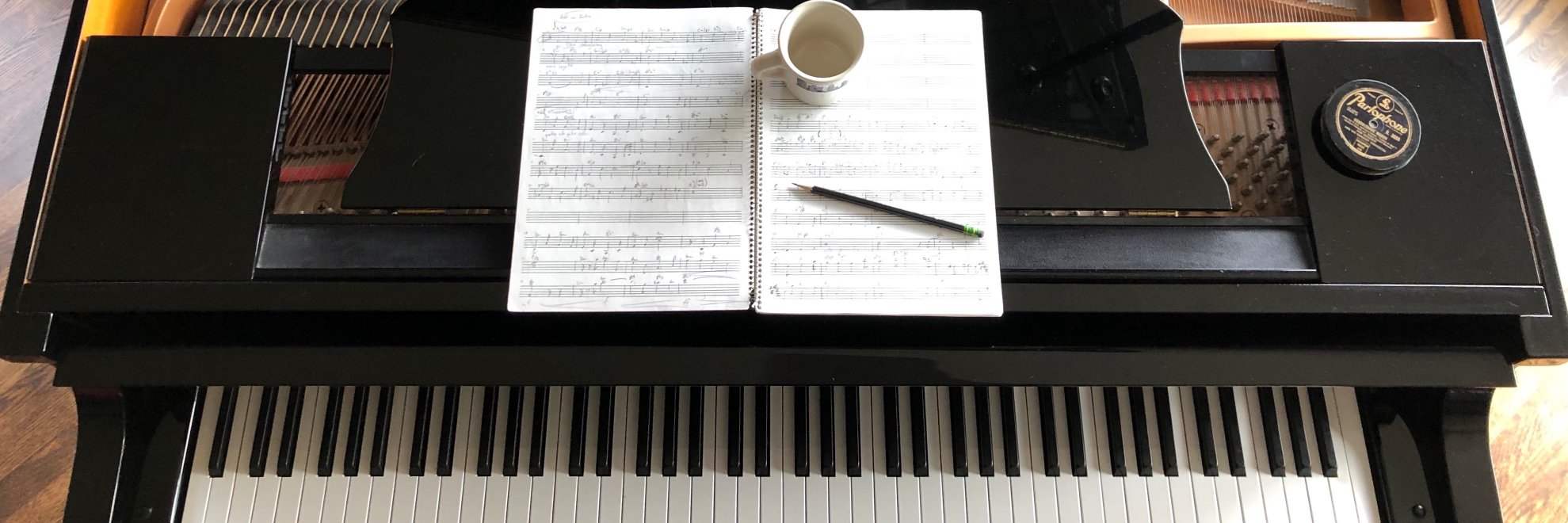 Brian McBrearty banner