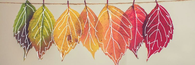 leonervhd's profile banner image