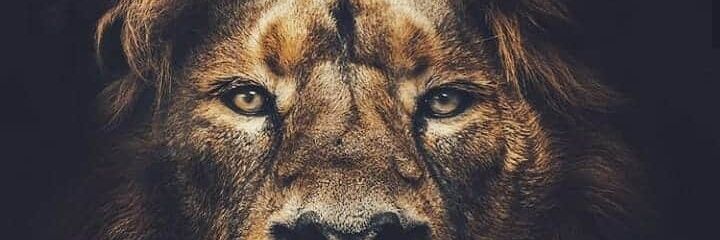 AngeldeeMusik's profile banner image
