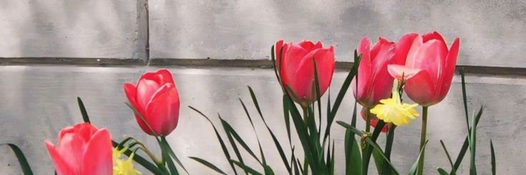 wxilmy's profile banner image