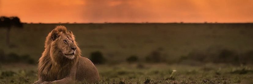 onklesami's profile banner image