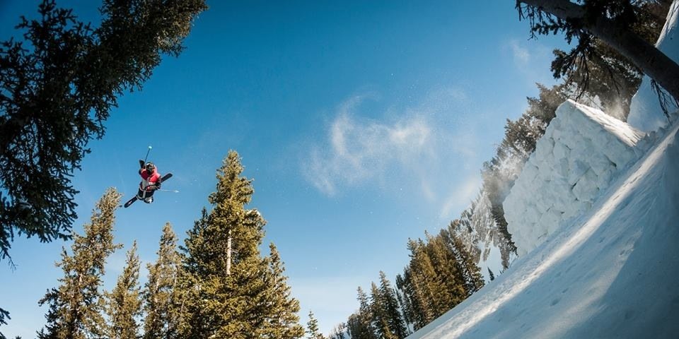 BearMitch_26's profile banner image