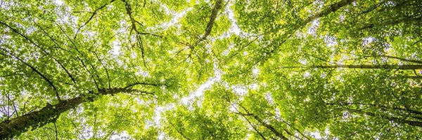 ITC_sustainable Profile Banner