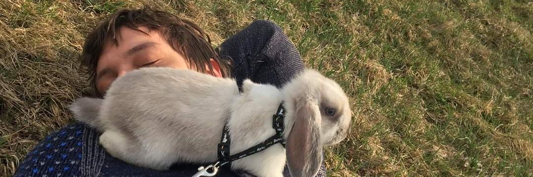 Franta6's profile banner image