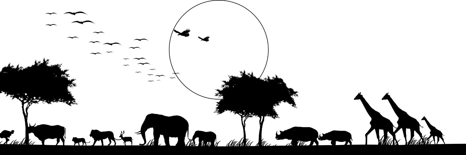 NvHapAf's profile banner image