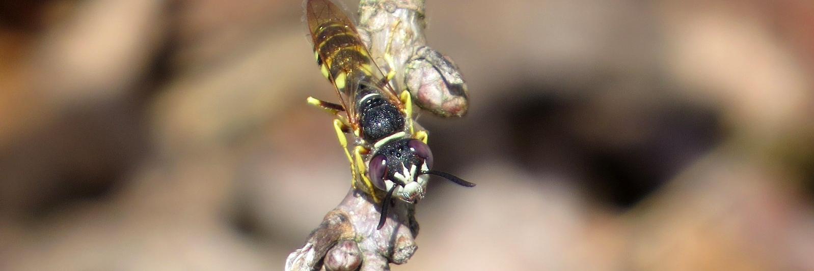 Jason Kernohan banner