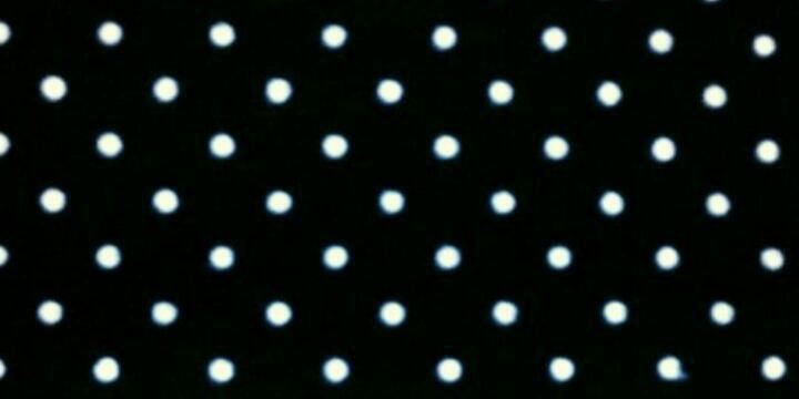 Lidiant. banner
