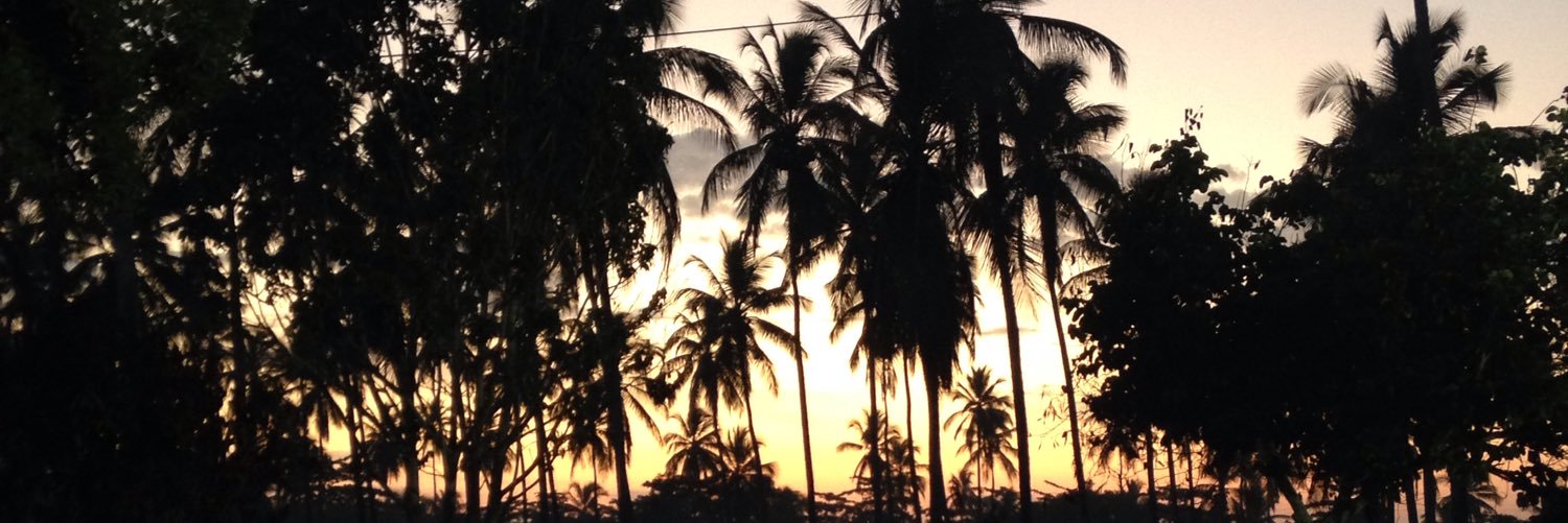 rthurBarbosaC's profile banner image