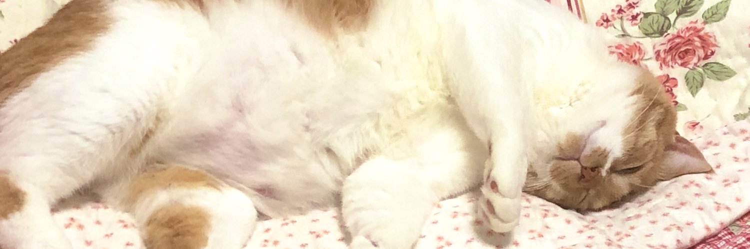 moon190992's profile banner image