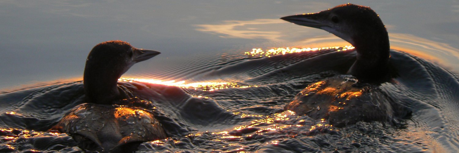 StPBAT's profile banner image