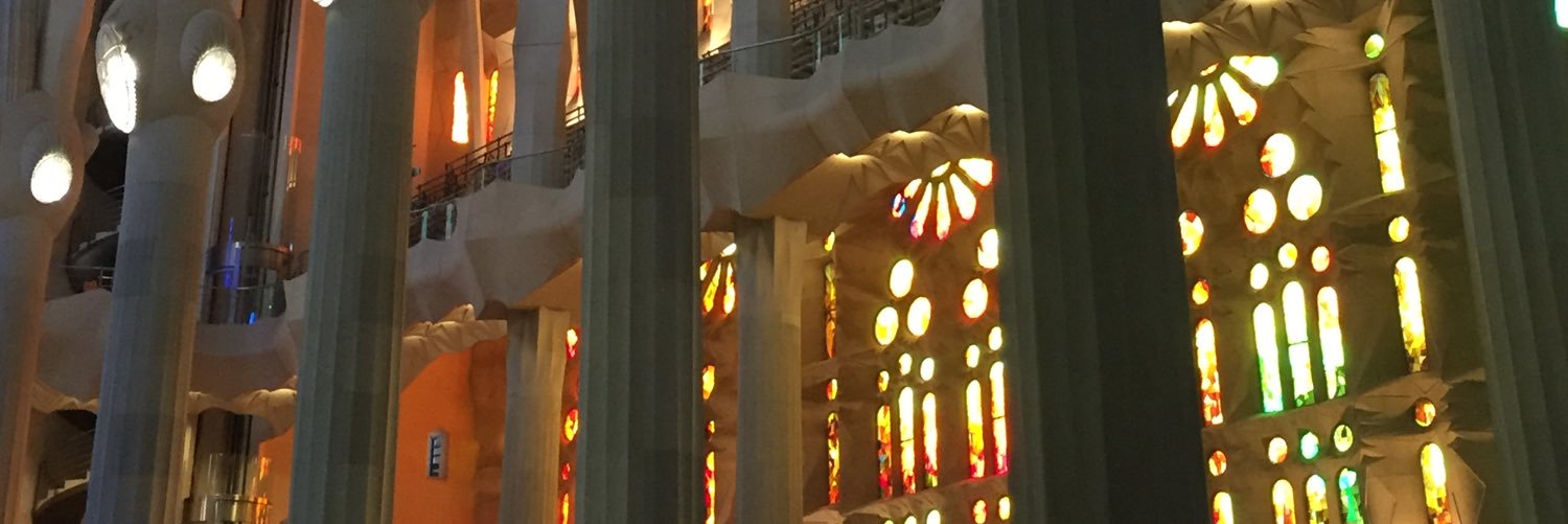 Elizabeth McCourt banner