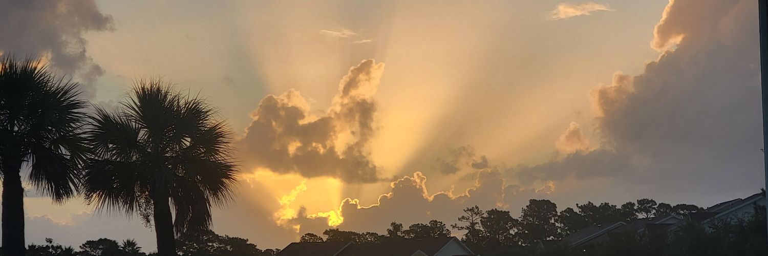 Smacking Baby Ducks banner