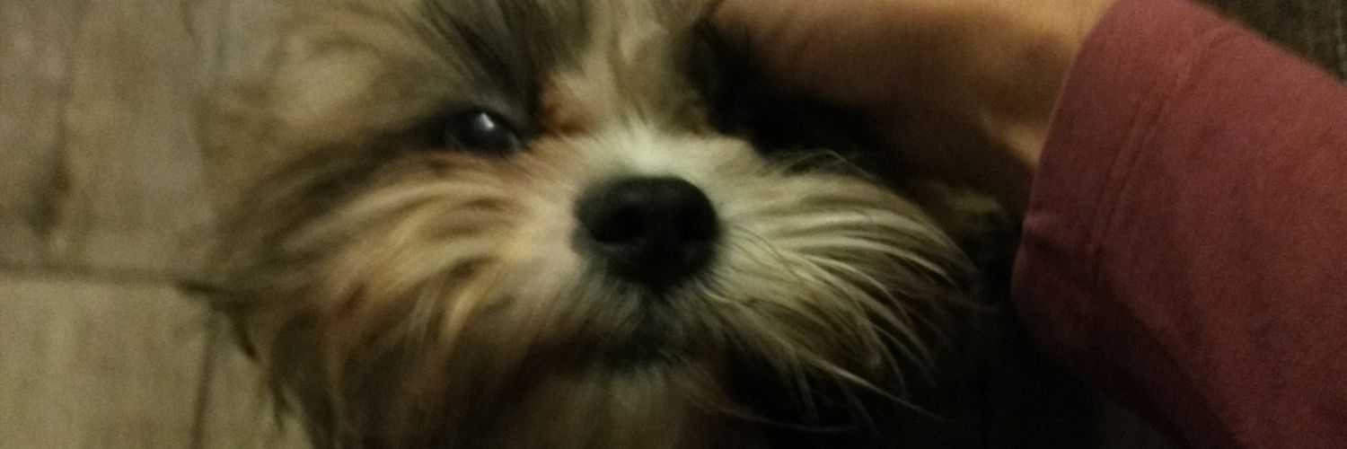 chá do renascer cósmico banner