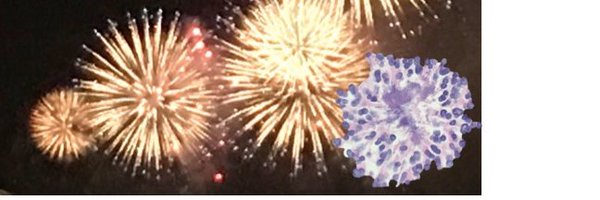 Mvgs1706 Profile Banner