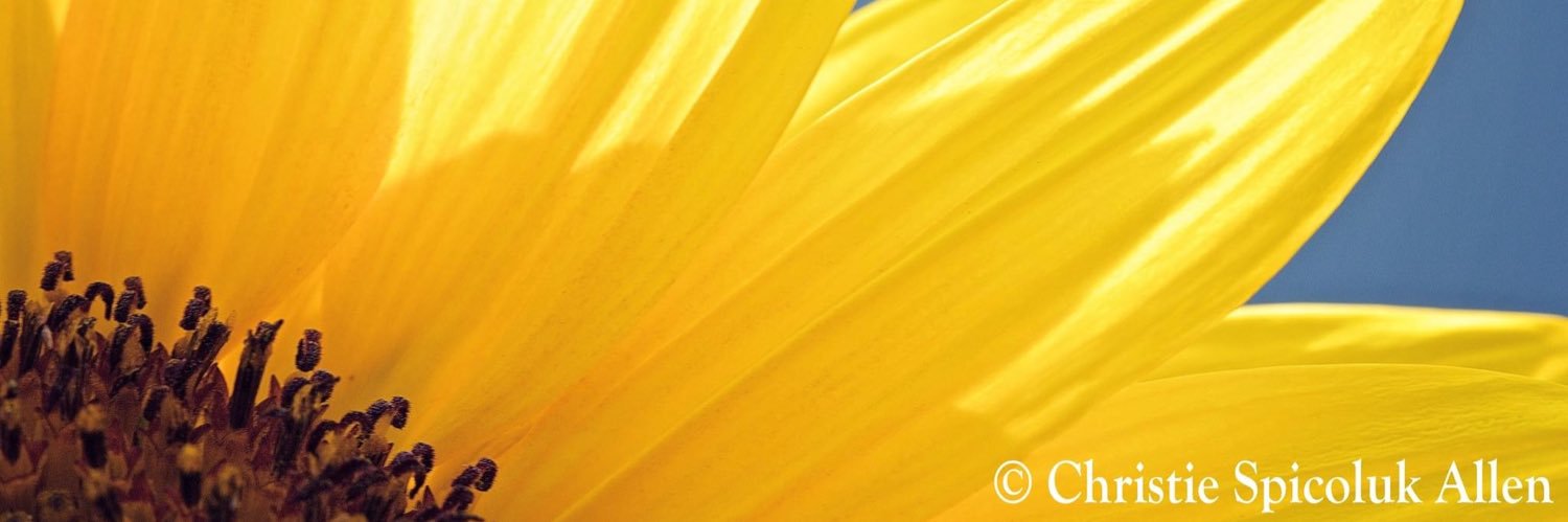 MovieMinx's profile banner image