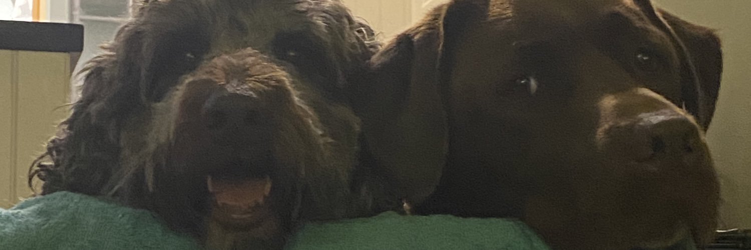 EllieMakewell's profile banner image