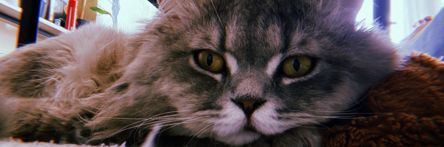 dnzozen1907's profile banner image