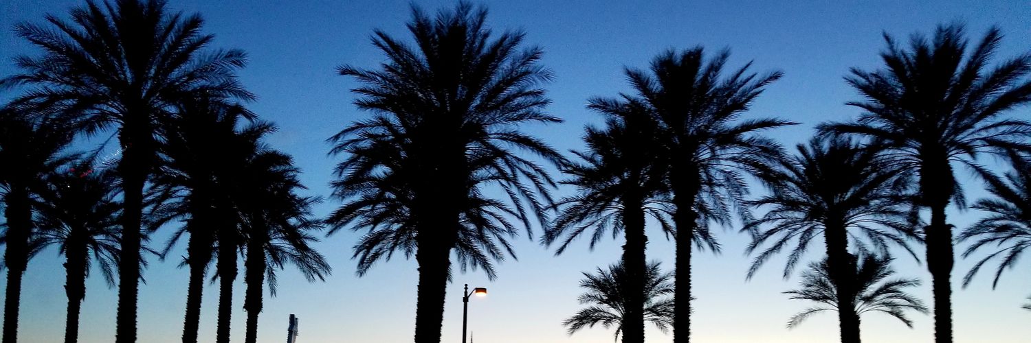 sarigirl85's profile banner image