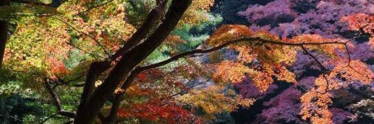 SinclairJx's profile banner image