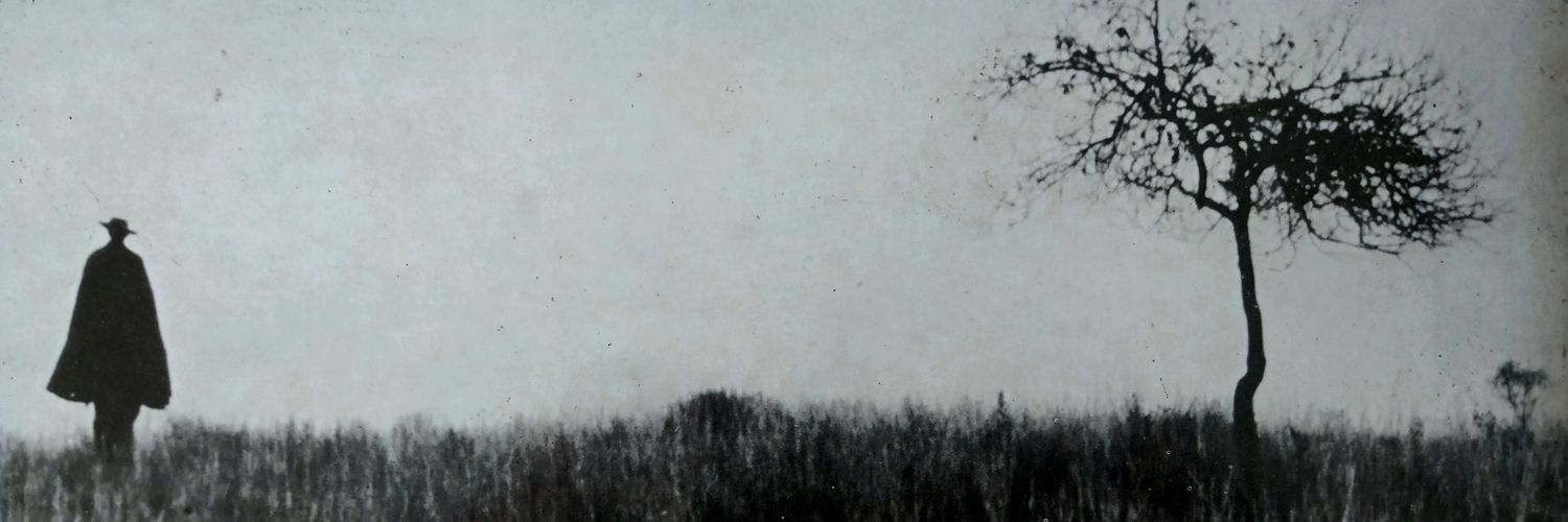 andré araujo banner