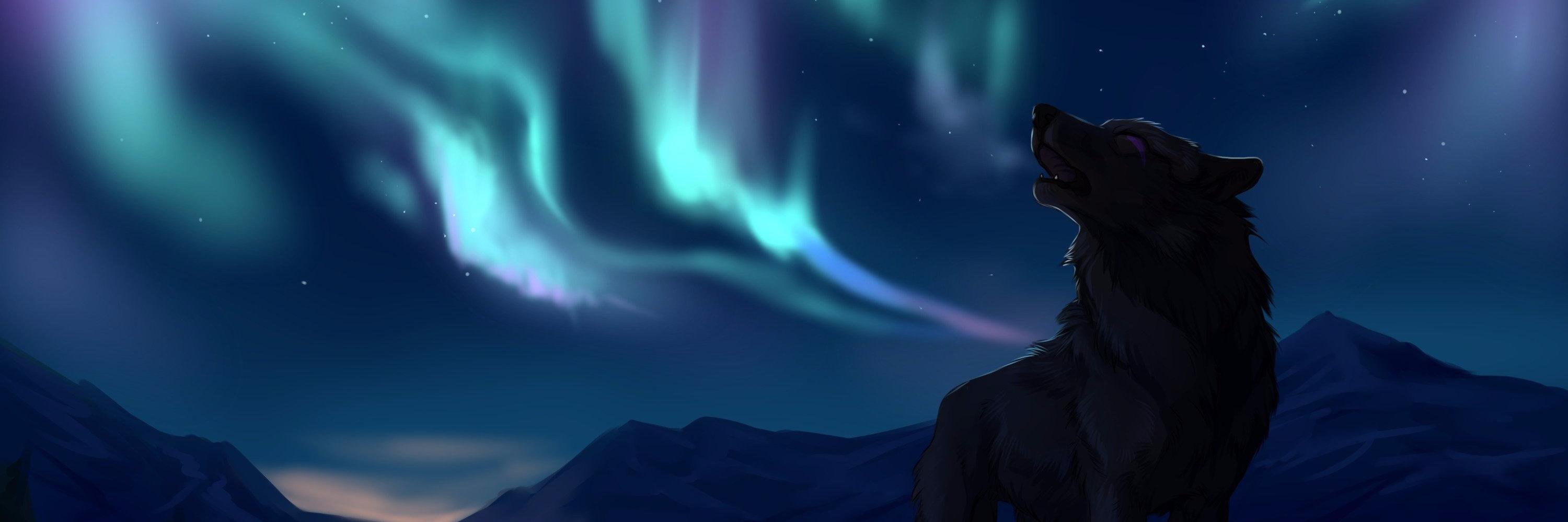 DensetsuE's profile banner image