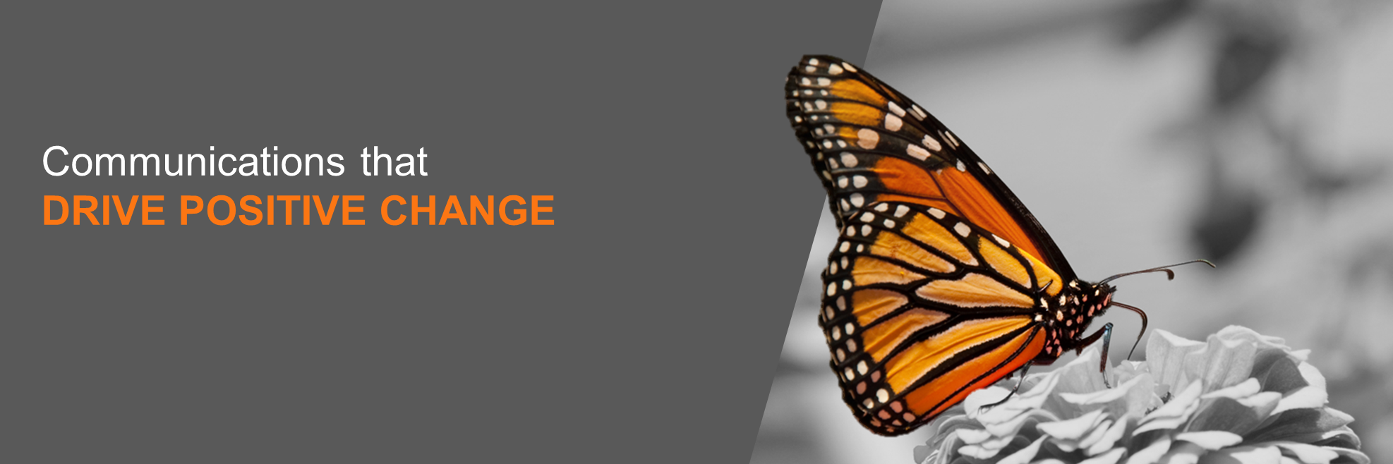 Say Communications banner