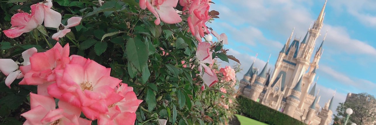 33pink6v6's profile banner image