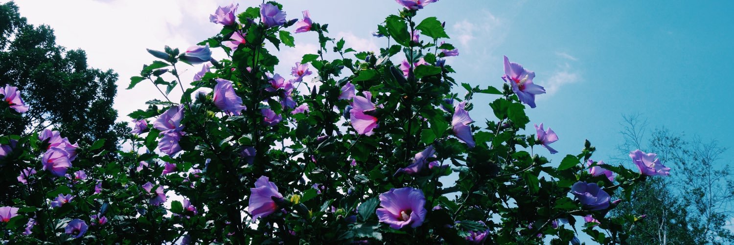 aleexgross's profile banner image