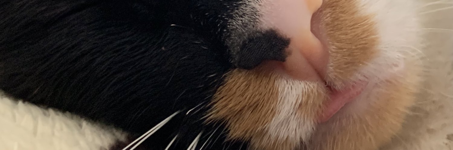 _sjulia's profile banner image